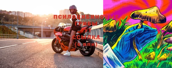 бошки Володарск